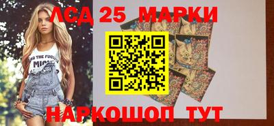 гашик Можга