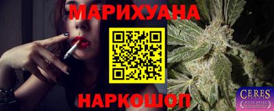 гашик Можга