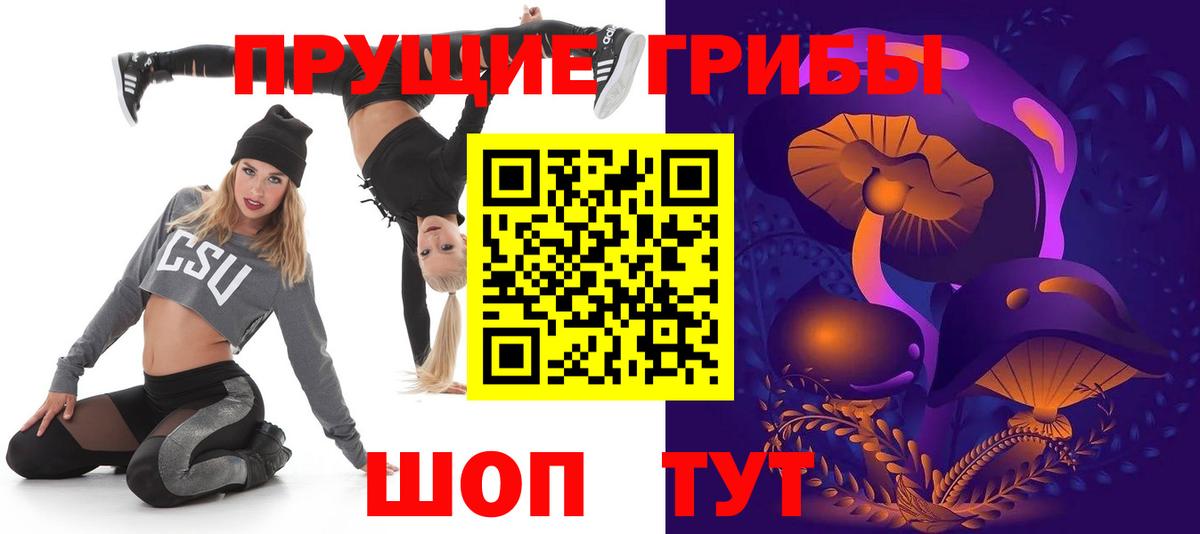Псилоцибиновые грибы Cubensis Жигулёвск